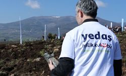 YEDAŞ, yüzlerce fidanı toprakla buluşturdu