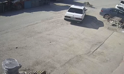 Yerde yatan köpek, otomobilin altında kaldı