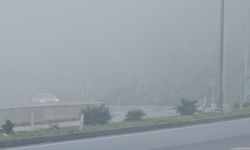 Zonguldak'ta 5 gündür sis etkili oluyor