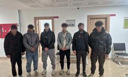 Artvin'de 1'i otomobil bagajında, 6 kaçak göçmen yakalandı