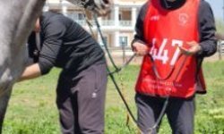 Çorum'da binicilik tesisleri yeniden canlandı, ulusal ve uluslararası yarışmalara ev sahipliği yaptı