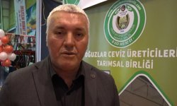 Çorum'da ceviz üreticileri güçleniyor