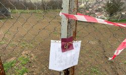 Çorum'da tapusuz arazideki ev ve hayvanların bulunduğu ahır mühürlendi