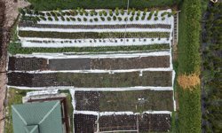 Ev hanımı kendi işinin patronu oldu