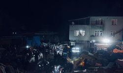 Kastamonu'da ahırın çatısı çöktü; 4 büyükbaş öldü / Ek fotoğraflar