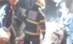 Kastamonu'da ahırın çatısı çöktü; 4 büyükbaş öldü