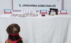 Kastamonu'da uyuşturucu operasyonları: 1 tutuklama