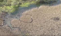 Milli Parklardan termal drone destekli arama