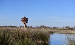 Samsun turizmde vites yükseltiyor