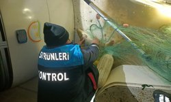 Samsun'da kaçak avcılıkla yakalanan balıklar geri salındı