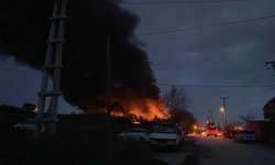 Samsun'da paletlerin olduğu meyve deposunda yangın