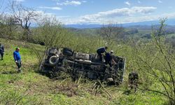 Şoförünün kalp krizi geçirdiği kamyonet, fındık bahçesine devrildi