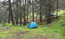 Ağaca yıldırım düştü; piknik yapan akrabalardan 1'i ağır 3 yaralı