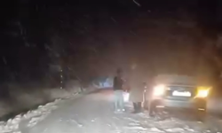 Bolu Dağı'nda kar yağışı (2)