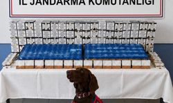 Bolu'da kaçak makaron operasyonu: 2 gözaltı