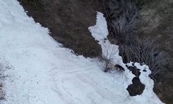 Bozayının yamaçtan inerken kaydığı anlar kamerada