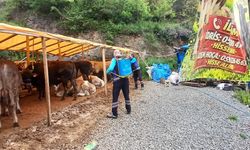 Büyükşehir'den kurban alanlarında hijyen seferberliği