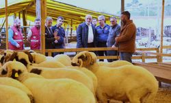 Canik Belediyesi Kurban Pazarı'na büyük rağbet
