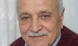 Fındık bahçesine giren otomobilin sürücüsü öldü