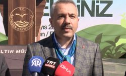 Rize'de çay hasadı şenlikle karşılandı