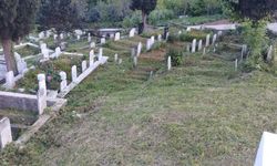 Trabzon'da Kurban Bayramı öncesi mezarlıklar temizlendi