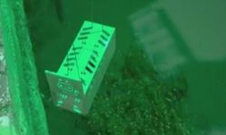 Yeşilırmak kıyısında mahsur kalan kedi kurtarıldı