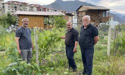 Artvin'de eğitimciler hobi bahçelerini üretim alanına dönüştürdü