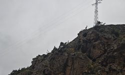 Derede kaybolan baba ile oğlunu 90 kişilik ekip arıyor