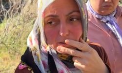 Dereye düşen kamyonette kaybolan oğlunun cansız bedenine ulaşıldı; baba aranıyor