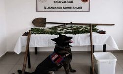 Kenevir eken şüpheli tutuklandı