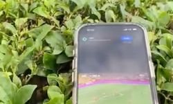 Rize'de dev ekranda milli maç heyecanı