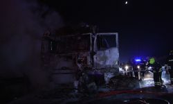 Tavuk eti yüklü TIR, otoyolda alev alarak yandı