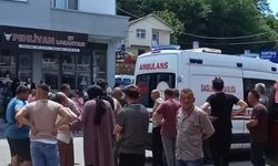 Arının soktuğu kadın öldü