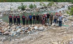 Artvin Murgul'da derelere 30 bin kırmızı benekli alabalık bırakıldı