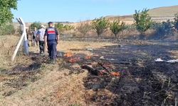 Çorum'da ekili arazide yangın çıktı