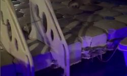 İskeleye çıkan su samurlarını balıkla beslediler