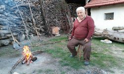 Ormanda devrilen traktörün sürücüsü öldü