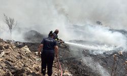 Tarlada çıkan yangında 100 dönüm alan zarar gördü