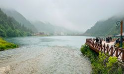 Uzungöl'e düşen turisti kurtarmak isteyen 2 kişi boğulma tehlikesi geçirdi, 1 kişi ise aranıyor