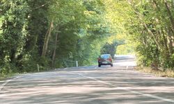 'Ağaç tünel yol'da seyrine doyumsuz manzara