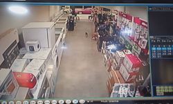 Amasya'da kurtarılan kedi, itfaiyecileri peşinden koşturdu