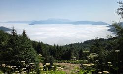Artvin'de sis bulutu dronla görüntülendi