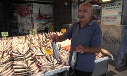 Av yasağı sona eriyor; balıkçılar palamuttan umutlu