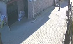 Balkondan düşen kadın hayatını kaybetti, olay kamerada
