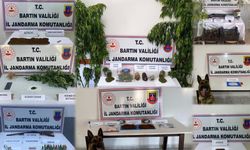 Bartın'da uyuşturucu operasyonu: 16 gözaltı