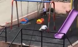 Çocuklar, oynadıkları parkı temizledi