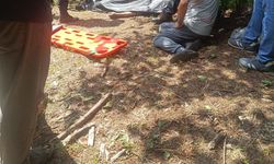 Devrilen traktörün sürücüsü öldü
