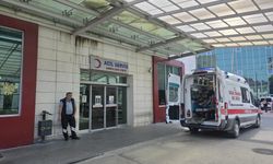 Doğadan topladıkları mantarları yedikten sonra fenalaşan çift hastaneye kaldırıldı