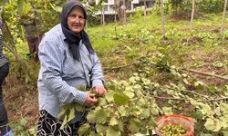 Eren Bülbül için yazılan şiirler kitaplaştırıldı