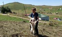 Karadeniz'in 'Sıfır Atık Bekçisi' Ufuk / Ek fotoğraflar